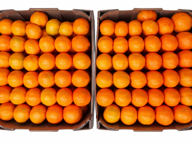 Two cartons of fresh W. Murcott mandarins from Peru packed and ready for export to Europe