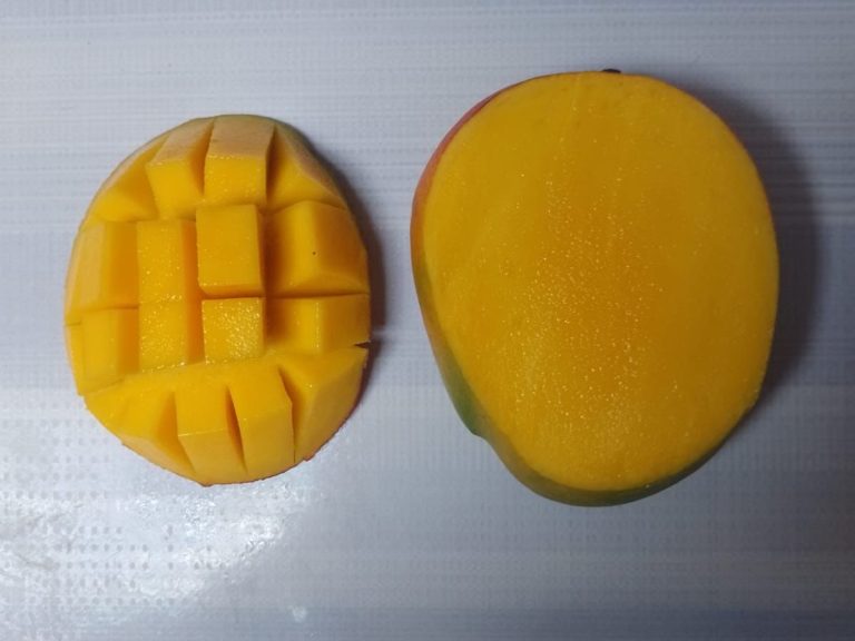 Ripe Kent mangoes from Peru showing export-grade quality
