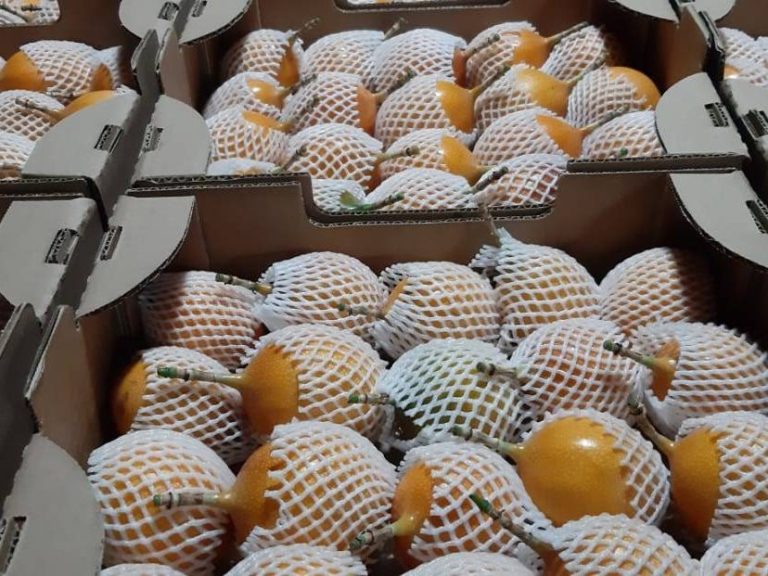 Sweet Granadilla from Peru, GLOBALG.A.P. certified