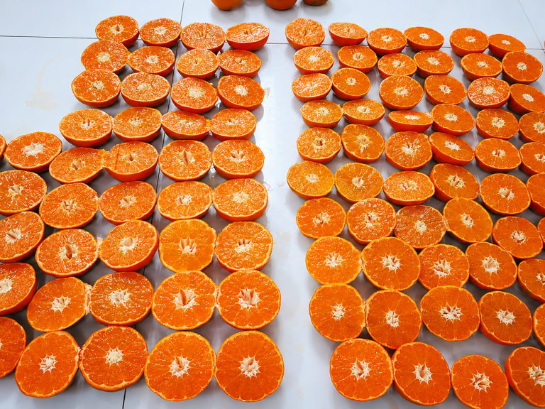 Cross-section of fresh Peruvian Satsuma mandarin showing juicy interior and vibrant orange color