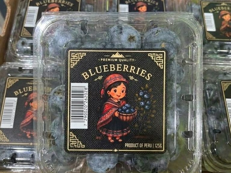 Blueberries in clamshells export baskets, Peru